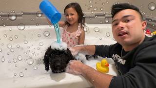 OAKS PET SPA (the MOViE) Stinky Dog Pool Party with Benson
