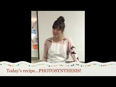 PHOTOSYNTHESIS recipe hqdefault