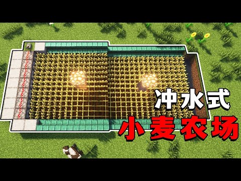 我的世界：沖水式小麥農場，簡單好用，空島首選#小麦农场