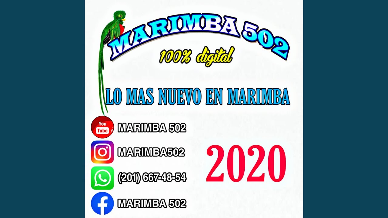 Mira La Abeja Miope en YouTube