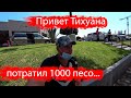 Первый день в Тихуане