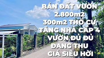 (Đã Bán) Gia Đình Cô Hoa Kẹt Tiền Buộc Lòng Phải Bán Đất Vườn Ở BR-VT Để Xoay Sở