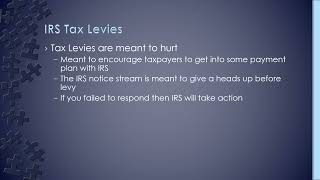 IRS Tax Levies - What Can the IRS Seize?