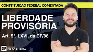 Liberdade Provisória com ou sem fiança - Art. 5º, LXVI, da CF/88