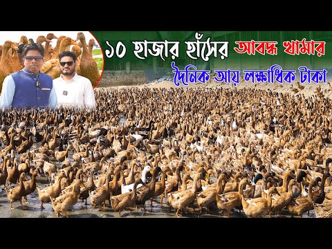 ১০ হাজার হাঁসের আবদ্ধ খামার | ১০ হাজার হাঁসের বাণিজ্যিক খামার | Duck farming | Khamar Bangla 24.
