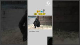 द कआटर मर लए