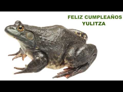 Yulitza   Animals & Animales - Happy Birthday