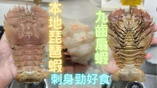 本地琵琶蝦😍九齒扇蝦, 好耐冇見過🤤刺身/白灼肉爽香甜~fishcutting香港海鮮~社長遊街市Seafood