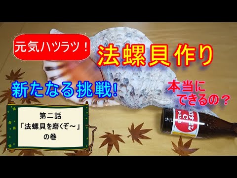 付着物つき（未洗い）法螺貝を磨いていきます。 - YouTube