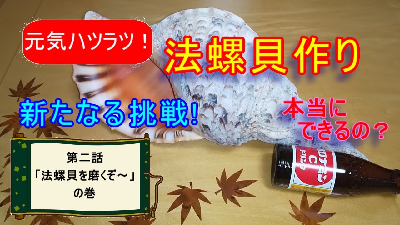 付着物つき 未洗い 法螺貝を磨いていきます Youtube