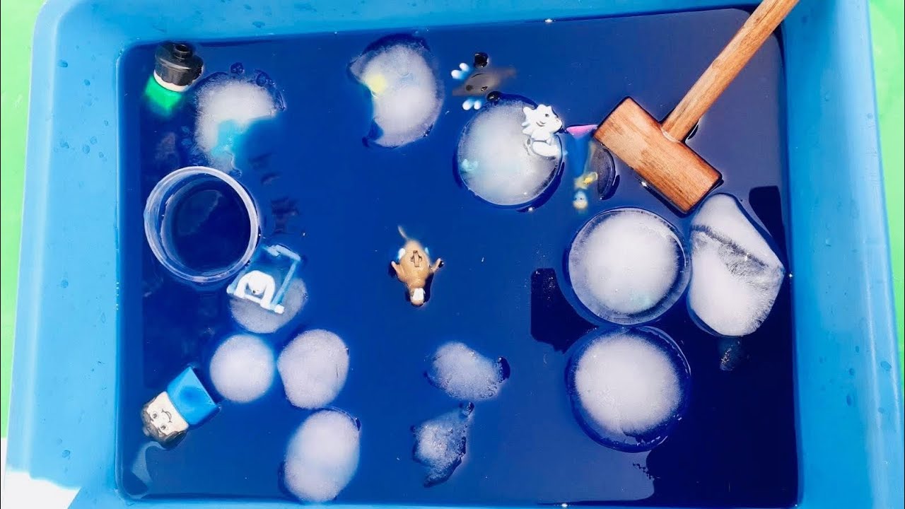 Winter ❄️ Camp 🏕 2026 - Day 4 - Memories to Cherish - 2082