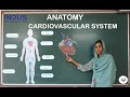 Cardiovascular System | Medical Coding Malayalam Tutorials | Anatomy | Indus Education