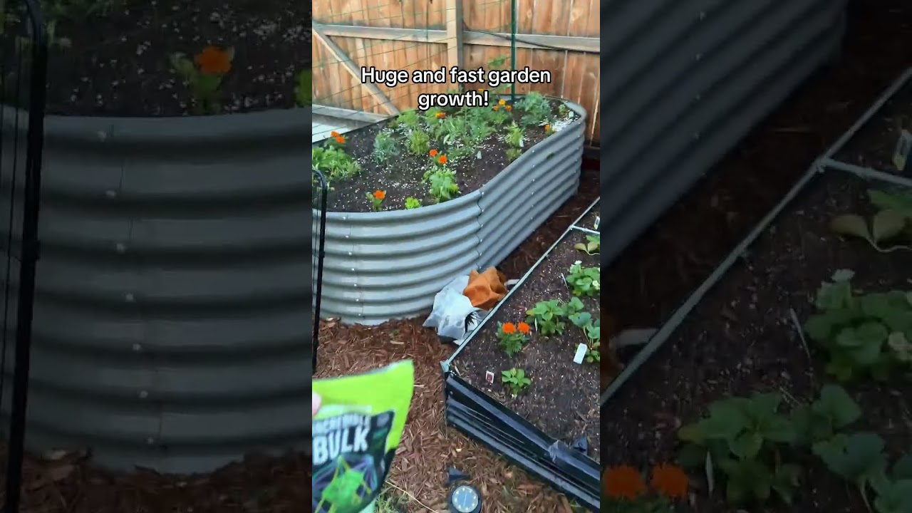 #gardening #summervibes #tiktokshopmemorialday #shippedbytiktok #dealsforyoudays