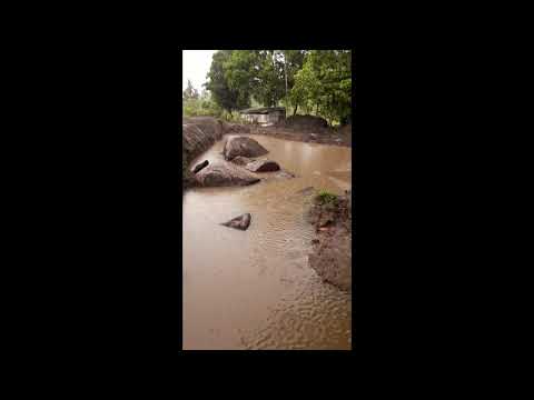 Vídeo: Pond Em Sua Cabana De Verão