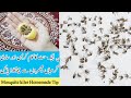 Machhar Door Bhagane Ke Gharelu Totka | Mosquito Killer