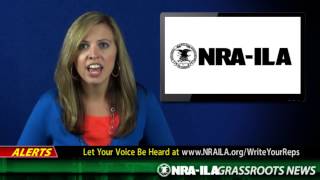 NRA-ILA Grassroots News Minute 07-19-2013