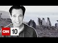 Penguin Conservation and Environmental Awareness