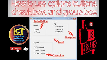 Part 3 How to use in Visual Basic the option / Radio button, Checkbox, Frame and Group-box)
