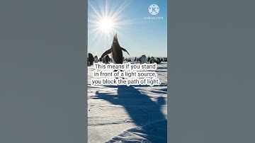 How are shadows formed?