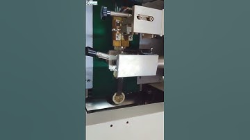 Lemon slice bag packaging machine testing run video