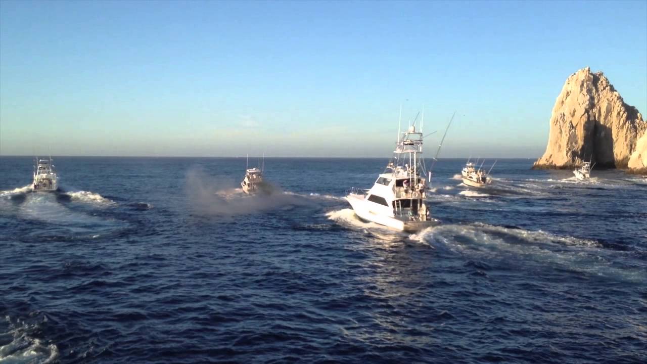 2013 Bisbee's Black & Blue Fishing Tournament in Cabo YouTube