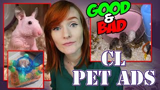 The Good, The Ugly, The Worst! | Craigslist Pet Ads | Munchie's Place