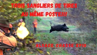 Battue en Alsace-Triplé de sangliers!!! Amazing Wild boar Hunting- Druckjagd auf Wildschwein