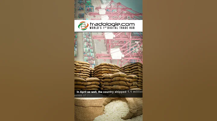 Vietnam’s Rice Export Turnover Increased By 54.5% In The First 4 Months Of 2023