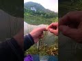 Không biết gì trong hồ cắn đứt dây cáp tôi #fishing #caucathugian #carpfishing #cakhung #cuoccauca