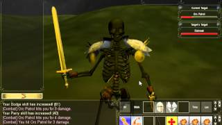 MMO Combat.avi