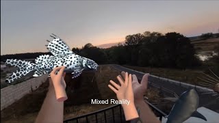 ZOSU Zoo - my mixedreality PICO app on PicoXR VR Pico4 #virtualreality