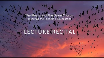 The Pleasure of the Dawn Chorus | Full Lecture Recital
