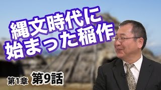 縄文時代に始まった稲作【CGS 日本の歴史 1-9】