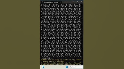 13 - How to Solve Error when Running pip index versions Using Single Quote in Microsoft Windows