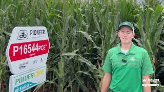 Introducing the NEW P16544PCE from Pioneer.