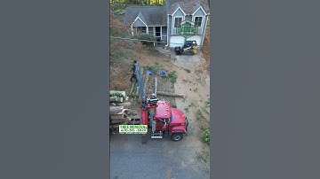 How much does it cost to remove a tree near me?