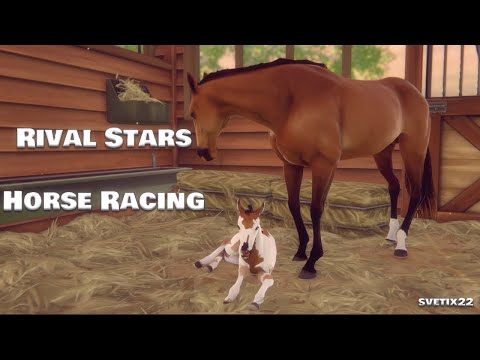 Видео: Rival Stars Horse Racing. Начало. Первый жеребенок!