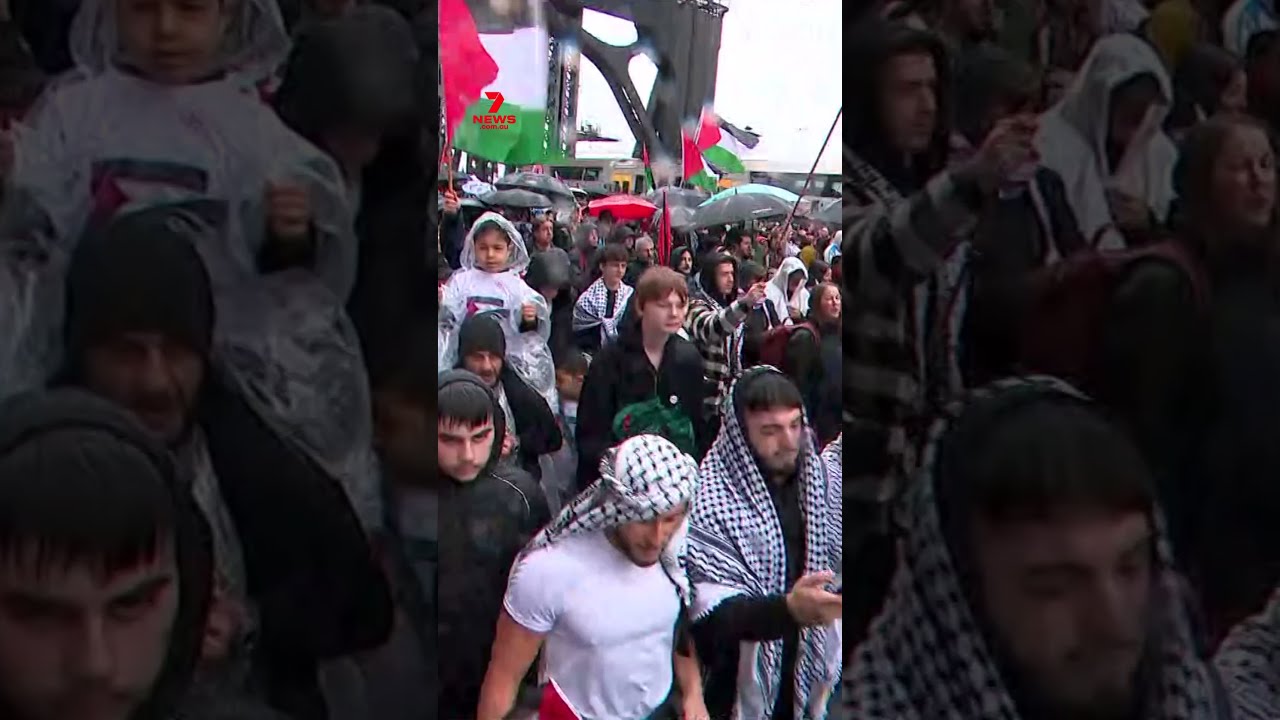 Pro Palestine March Across The Harbour Bridge