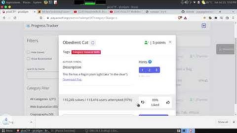 picoCTF: Obedient Cat | General Skills | cat linux tool