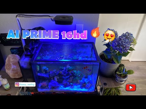 AI Prime 16HD Reef on my Nano Tank fluval evo 13.5 by EASY REEFING