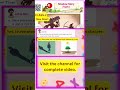 Shadow Story| Togalu|Class 2| Maths |Chapter 4| Joyful Mathematics| NCERT|Work Sheet|#ncert #shorts