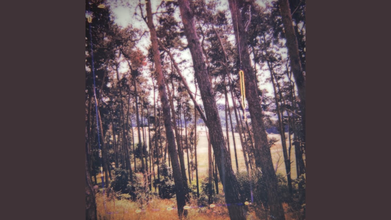 Watch Your Trees on YouTube Watch Your Trees on YouTube