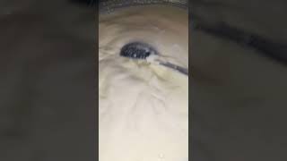 Process Of Making Peda