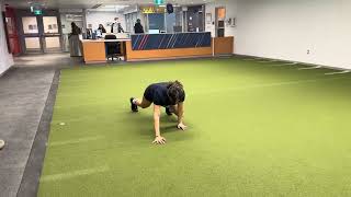 Linear Bear Crawl
