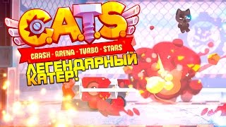 :       ! - CATS #6