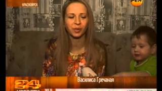 Кошки напрокат Кошки напрокат