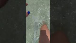 Wading into Refreshing Crystal-Clear Ocean Waters#oceanlife #beachvibes #oceantherapy