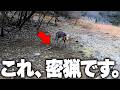 【違法罠】絶対に許せないことがありました。