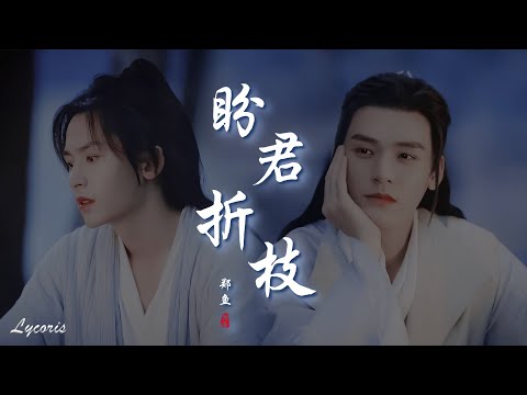 【山河令 Word Of Honor】自制MV：《盼君折枝》郑鱼「你走后 山河为谁留，折扇情厮守 千山暮雪才看透」【龚俊 × 张哲瀚 | 温客行 × 周子舒】