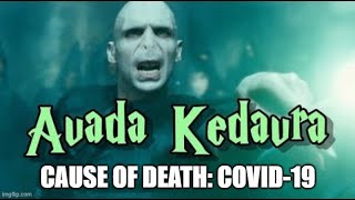 Comedy Magick | Killing it With Comedy Avada Kedavra | Hogwarts Legacy Wizard Sean Bond P20